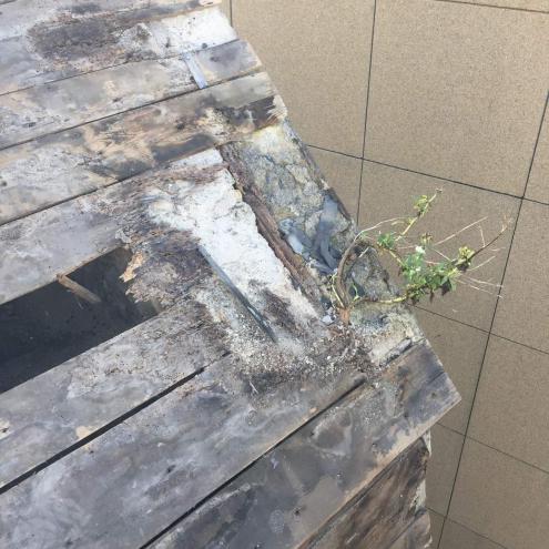 Réfection couverture mansardée